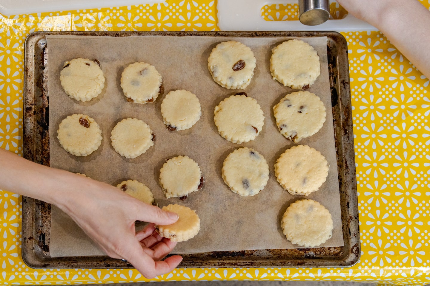 Raisin Scones laid out on tray ready to be baked.